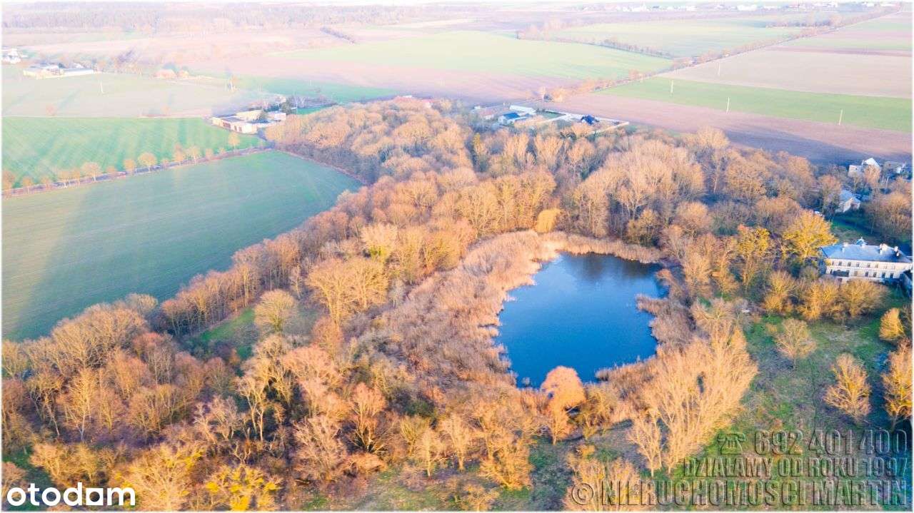 pałac w Niegolewie z parkiem 17 ha w tym rola 6 ha-2