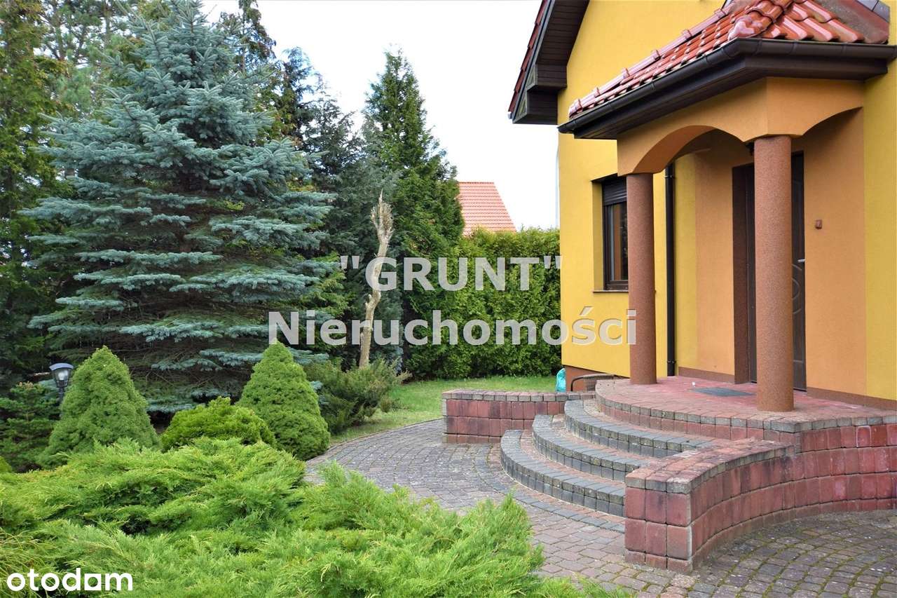 Świetna lokalizacja, super dom - Pełny obrazek: 1/20