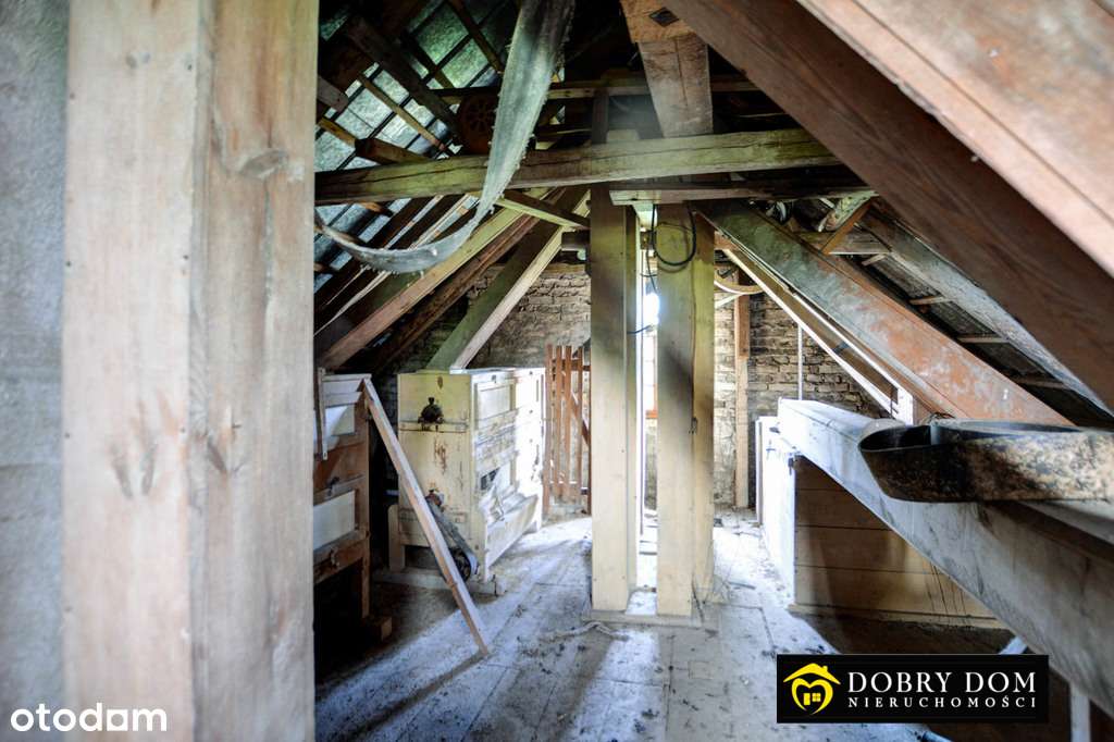 /ODS - Pełny obrazek: 5/8