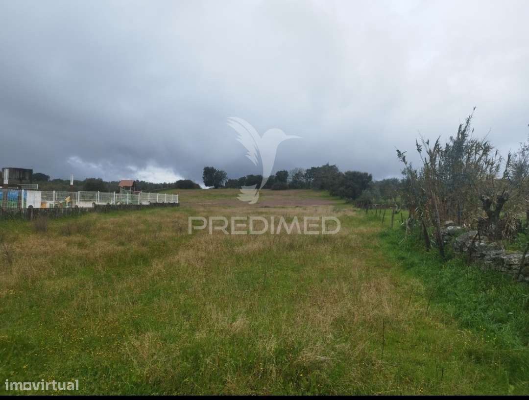 Terreno Rústico - Grande imagem: 2/5