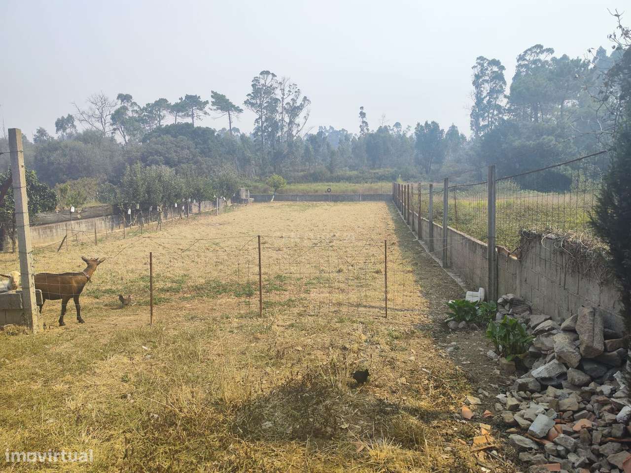 Terreno Rústico em Barqueiros, Barcelos - Grande imagem: 4/26