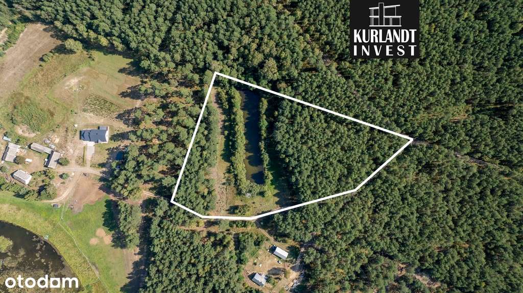 Działka 1,9 ha blisko jeziora/ Kanał Brdy - Pełny obrazek: 4/9