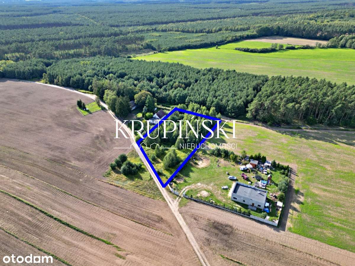 Działka w Dobrzejewicach, tuż pod lasem! - Pełny obrazek: 4/13