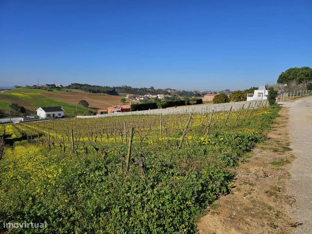 Terreno para construção de 7 moradias com belas vistas! - Grande imagem: 5/6