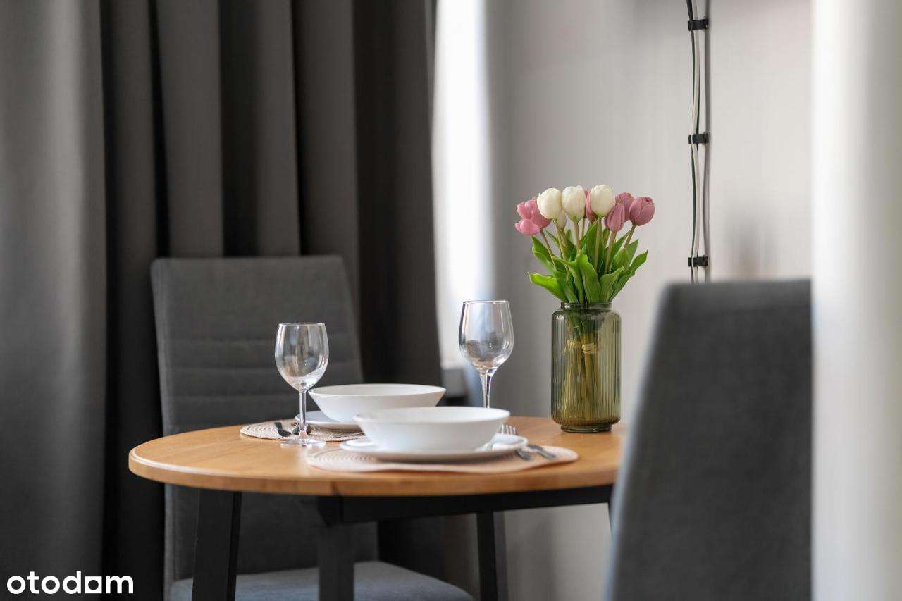 Gotowiec inwestycyjny: 4 apartamenty przy MTP i Dworcu - wystawiam FV - Pełny obrazek: 2/20