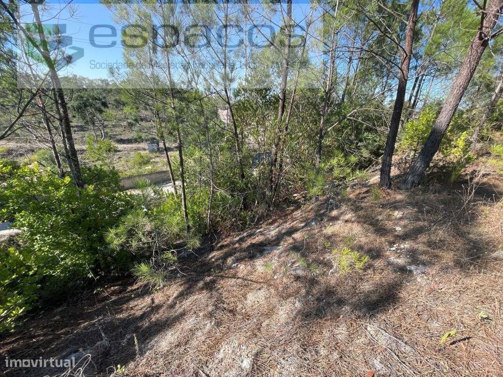 Terreno Rustico - Grande imagem: 5/7