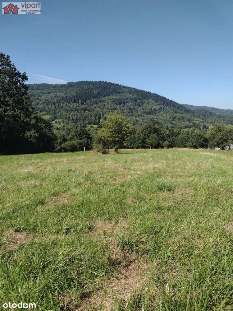 Widokowa działka w Milówce - Pełny obrazek: 5/13