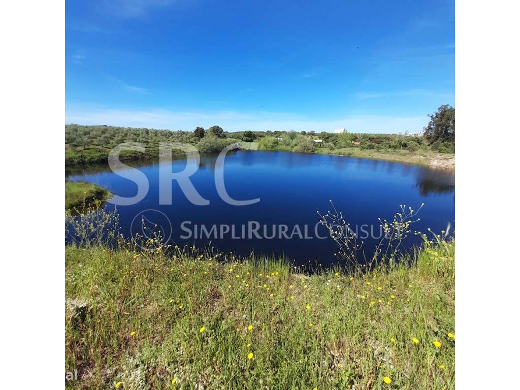 Herdade do olival das Barreiras-3