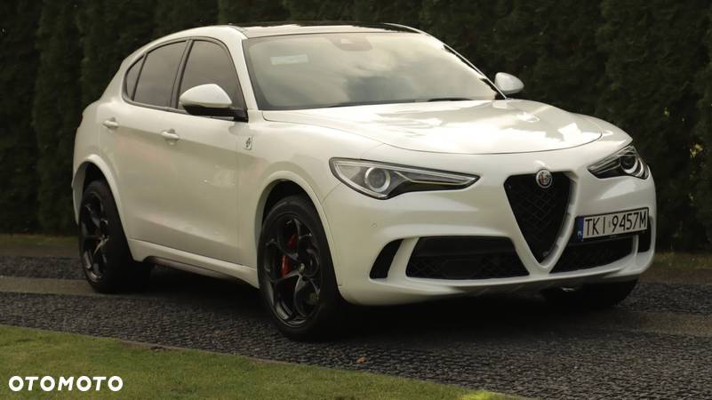 Alfa Romeo Stelvio 2.9 V6 Bi-Turbo Quadrifoglio Q4 - 19