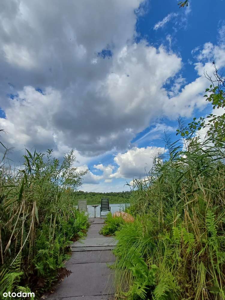 Dwie Działki z Linią Brzegową Jeziora, Stawy, Warunki WZ Dom Stajnia - Pełny obrazek: 5/5