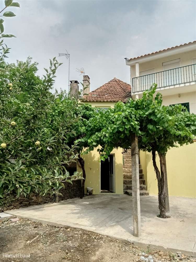 Moradia T3 com quintal em Castelo Branco, Mogadouro - Grande imagem: 5/23