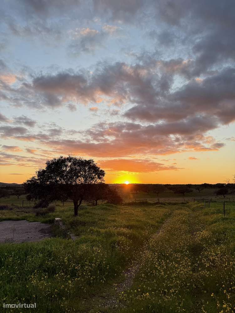 MONTE ALENTEJANO NO ALANDROAL, ÉVORA-31