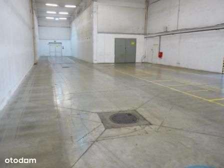 Magazyn o pow. 2360m2 - Pełny obrazek: 2/10