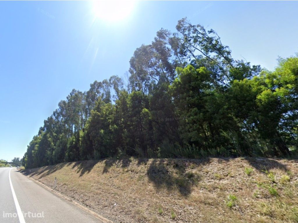 Terreno florestal em Requião