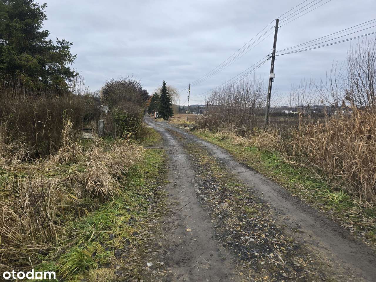 Atrakcyjne działki budowane- Piekary Śląskie , Kozłowa Góra. - Pełny obrazek: 5/6