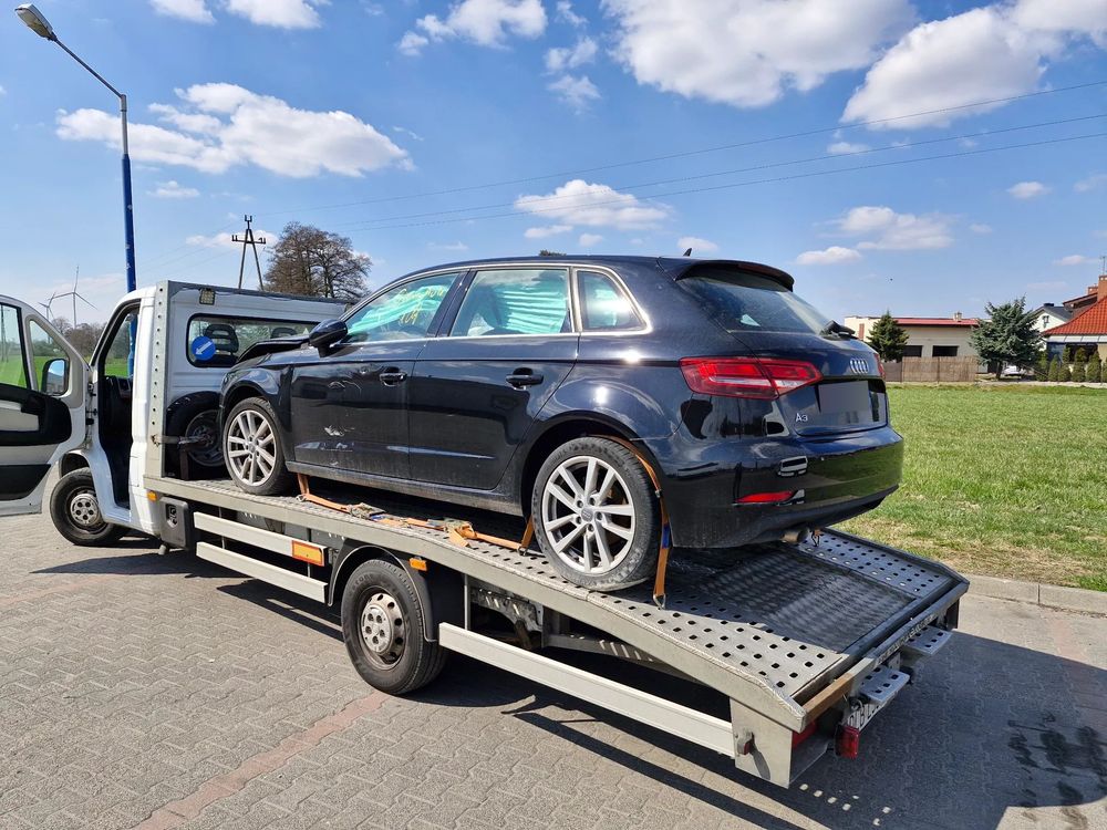 Audi A3 8V 1.6 TDI S tronic sport 2019