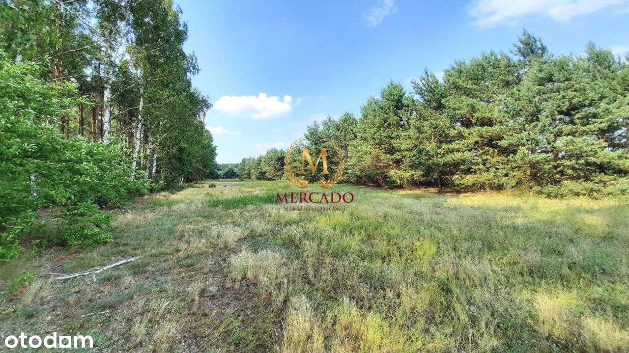 Działka, 6 900 m², Warząchewka Polska - Pełny obrazek: 4/4