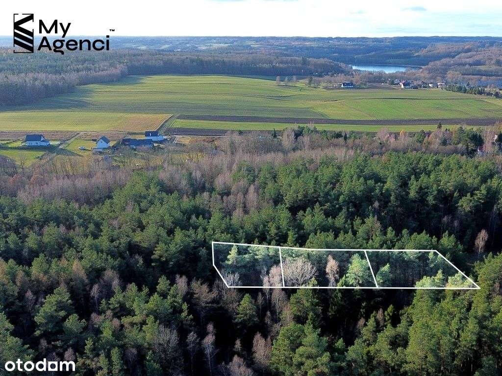 Lewino, ul. Lipowa - działki na sprzedaż - Pełny obrazek: 4/20