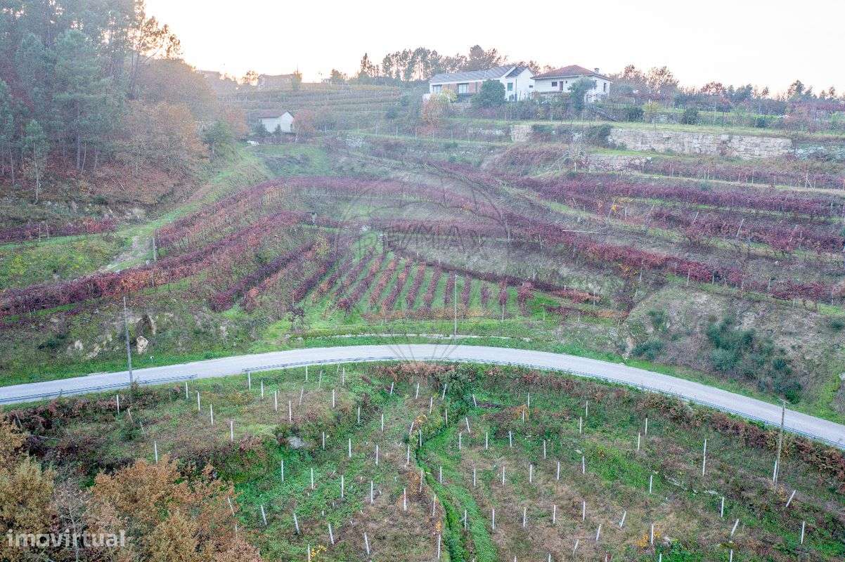 Terreno  para venda - Grande imagem: 5/7