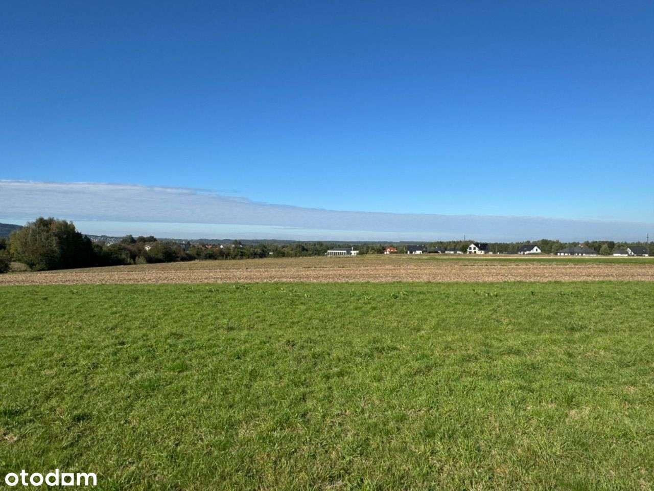 Piękna widokowa rolna działka. Cisza i spokój! - Pełny obrazek: 5/12