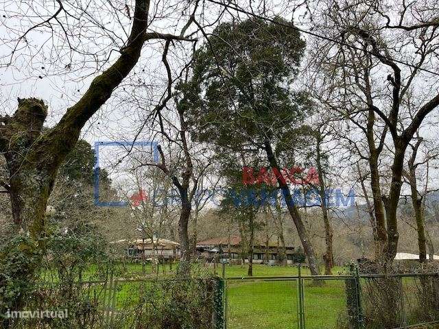 QUINTA - RESTAURANTE - PONTE DE LIMA - Grande imagem: 4/30