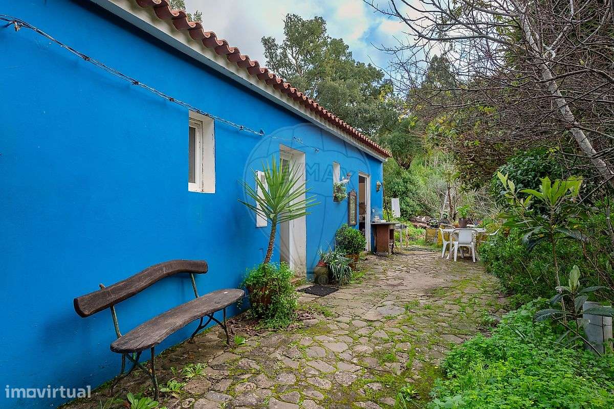 Moradia T4 para venda - Grande imagem: 4/41