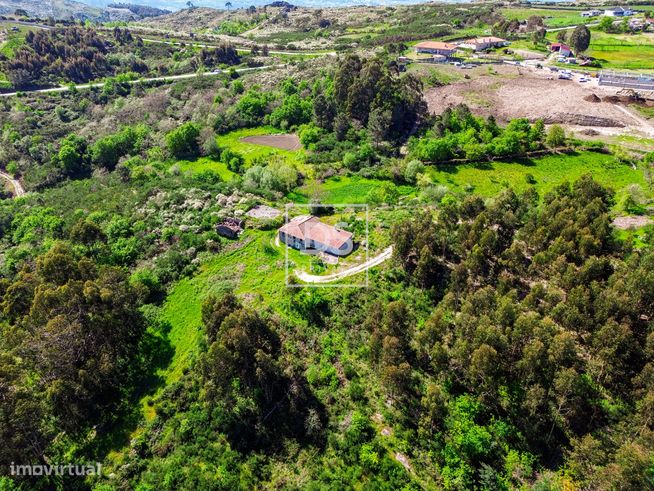 Quinta de sonho em Baião, Grilo.-10