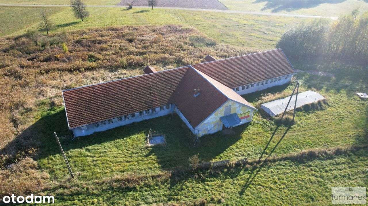 Działka 1,12 ha z bud. produkcyjno-usługowym - Pełny obrazek: 4/20