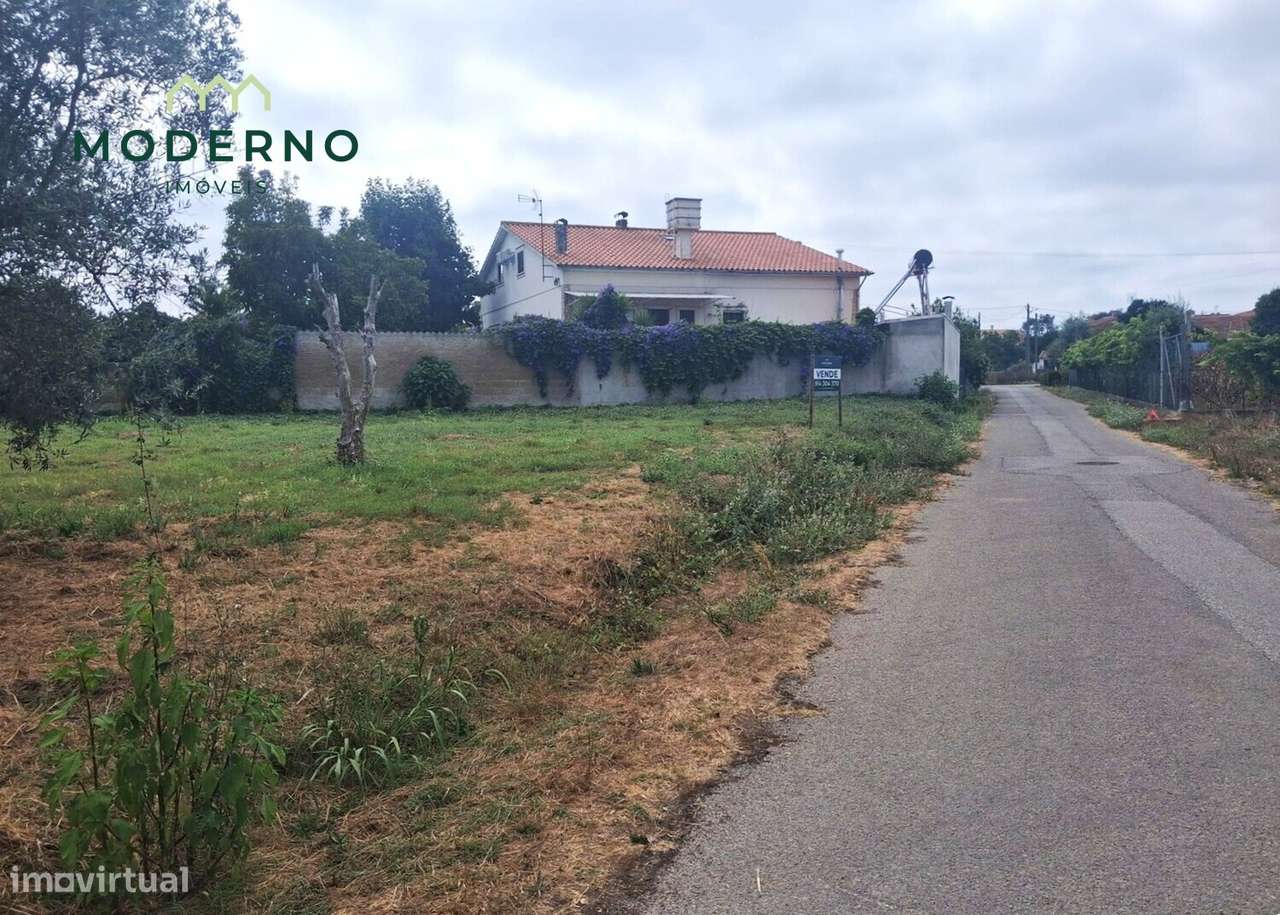 Terreno Construção - Ilha, Pombal-5