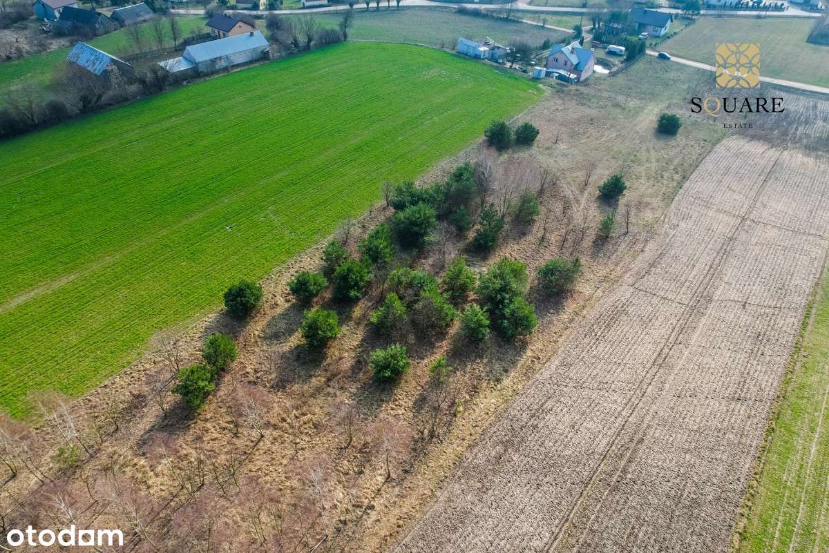 Działki Krajęczyn | Joniec | m2 - Pełny obrazek: 5/11