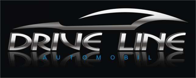 DRIVE LINE logo