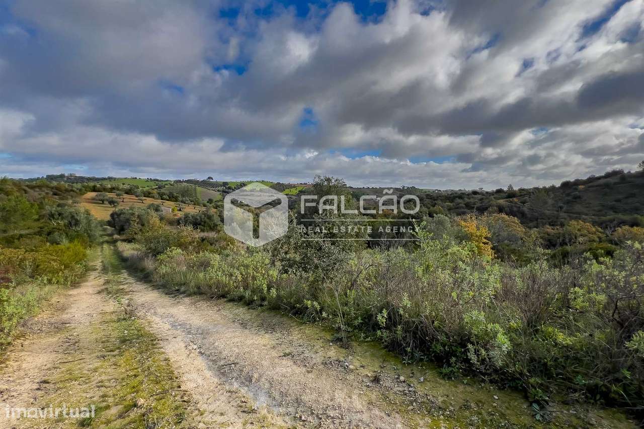 Terreno Misto  Venda em Azoia de Cima e Tremês,Santarém - Grande imagem: 5/28