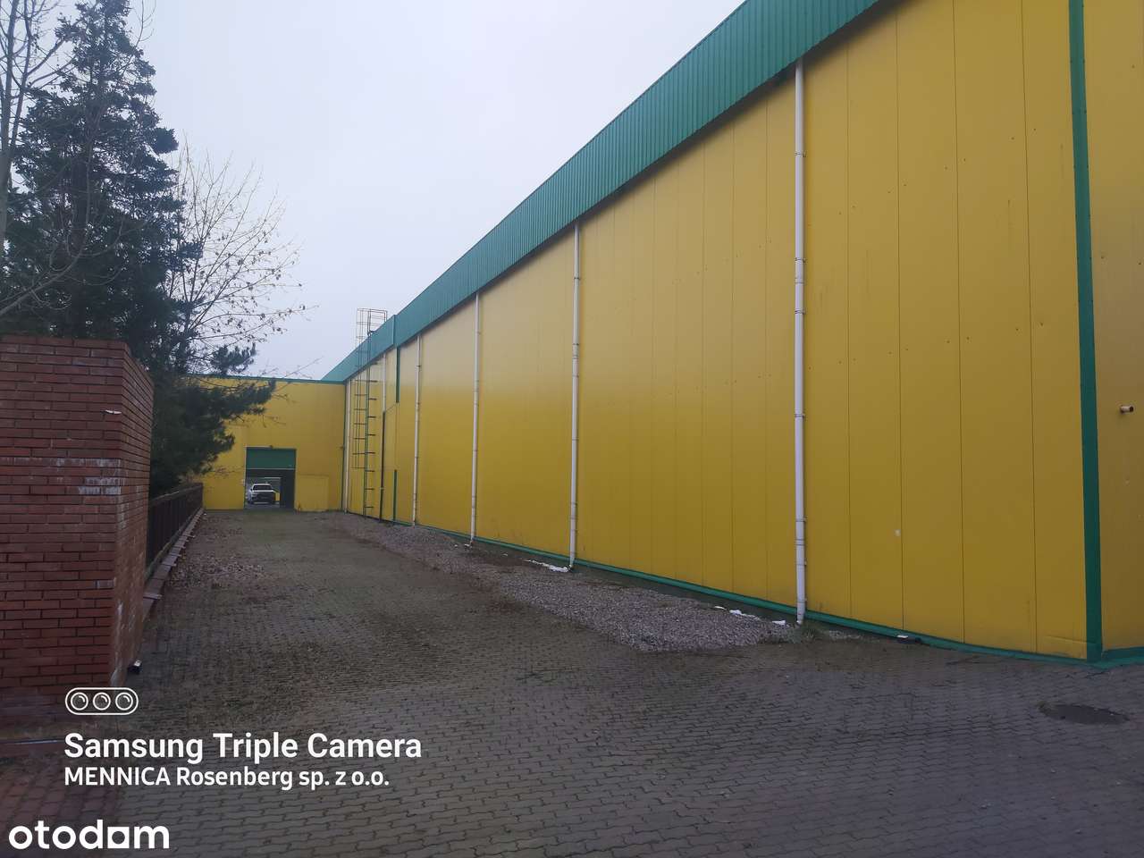 Hala 4500m  ,BEZOŚREDNIO. Biura + 3 hale na działce-18