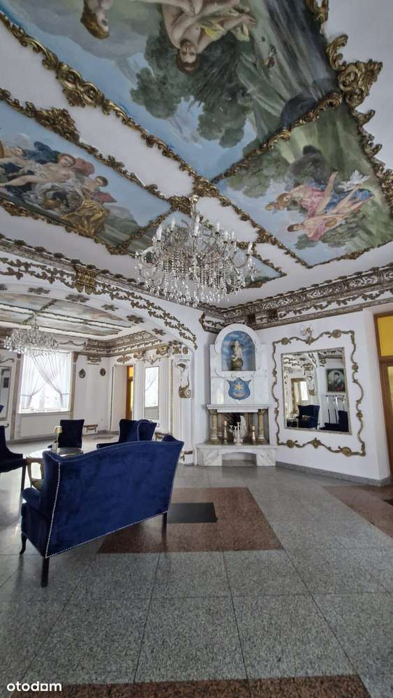 Przepiękny Pałac Tarnowskich czeka na nabywcę.-3