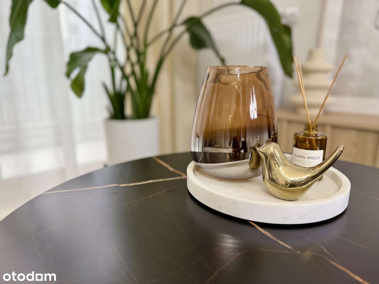 GOTOWA kawalerka pod inwestycje przy Odrze / Apartament w centrum - Pełny obrazek: 4/15