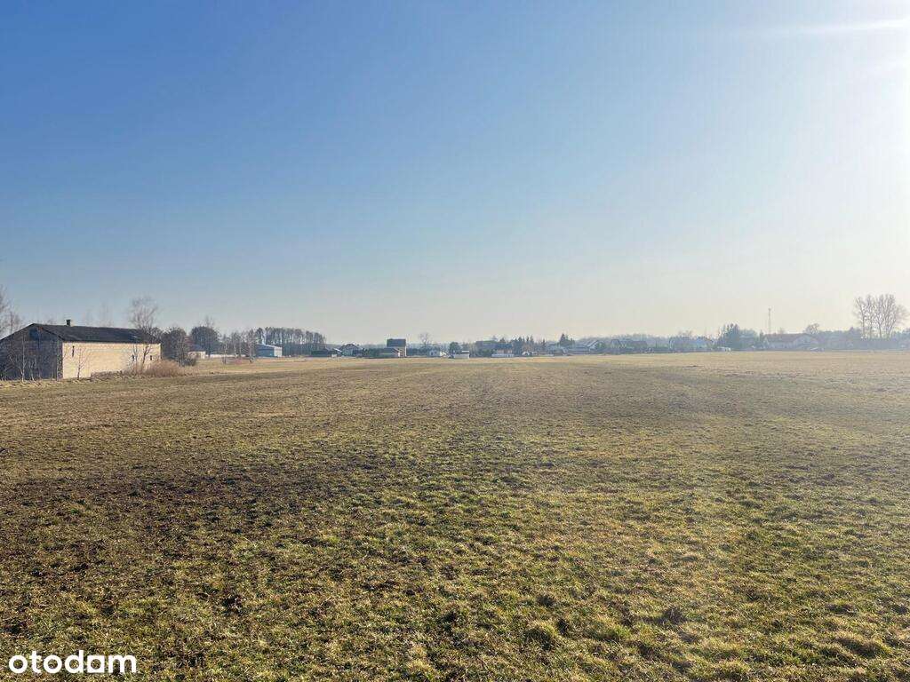 Działka budowlana Polaki, gm.Kotuń - Pełny obrazek: 4/6