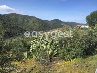 Magnifico terreno agrícola com 223604 m2 junto o Rio Douro. - Grande imagem: 3/17