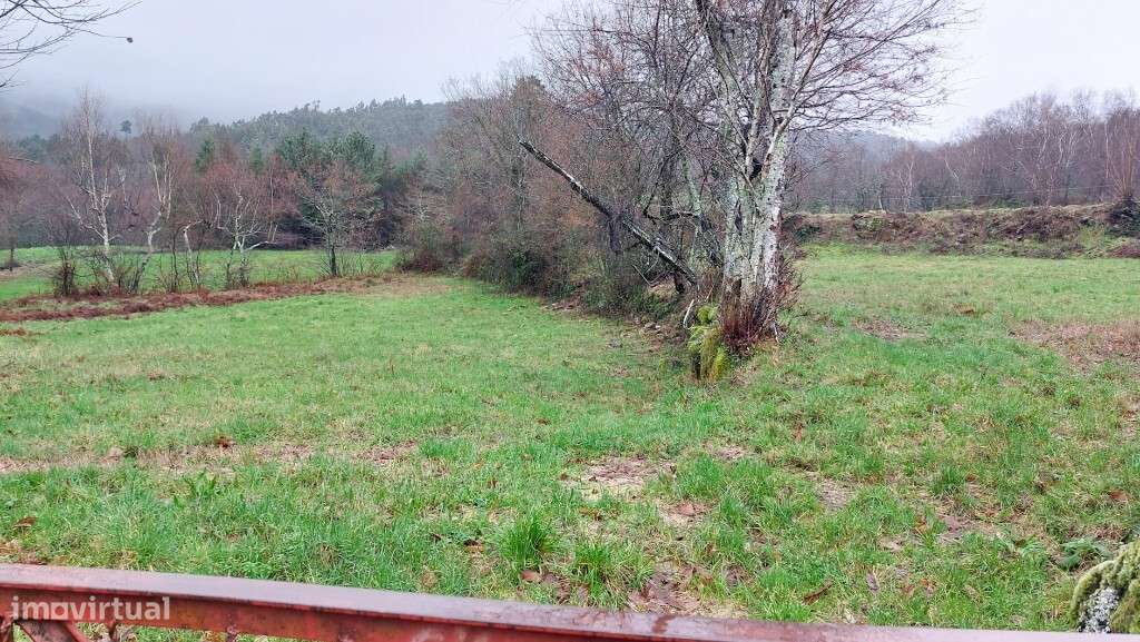 Terreno Rústico - Agra, Rossas-5