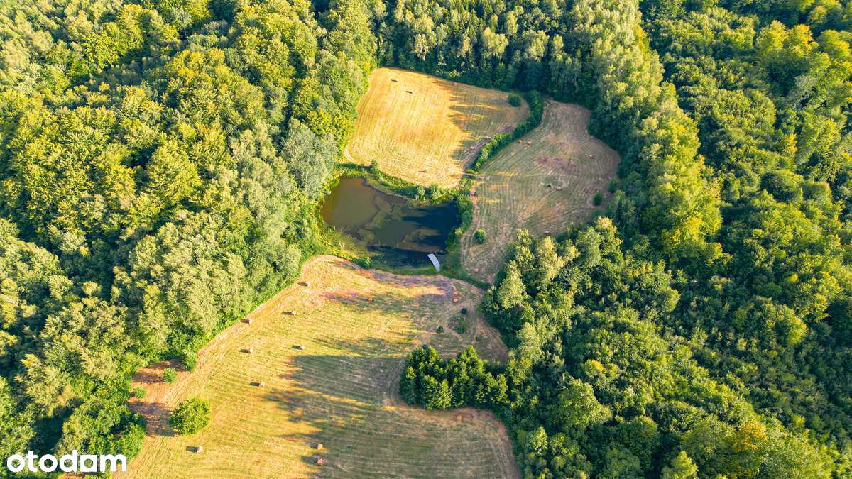 Działki budowlane Rogowo blisko Elbląga. - Pełny obrazek: 4/17
