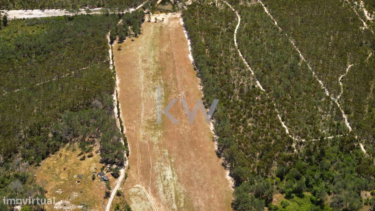 Casa de Campo tipicamente portuguesa com 20 hectares - Pedralva, Vila - Grande imagem: 5/51