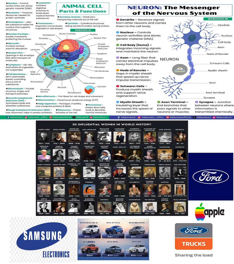 473Googleplex$RentalAgroMultiEcoBioOrganiBiodynamicRegenrtiveFarmHouse - Grande imagem: 3/60