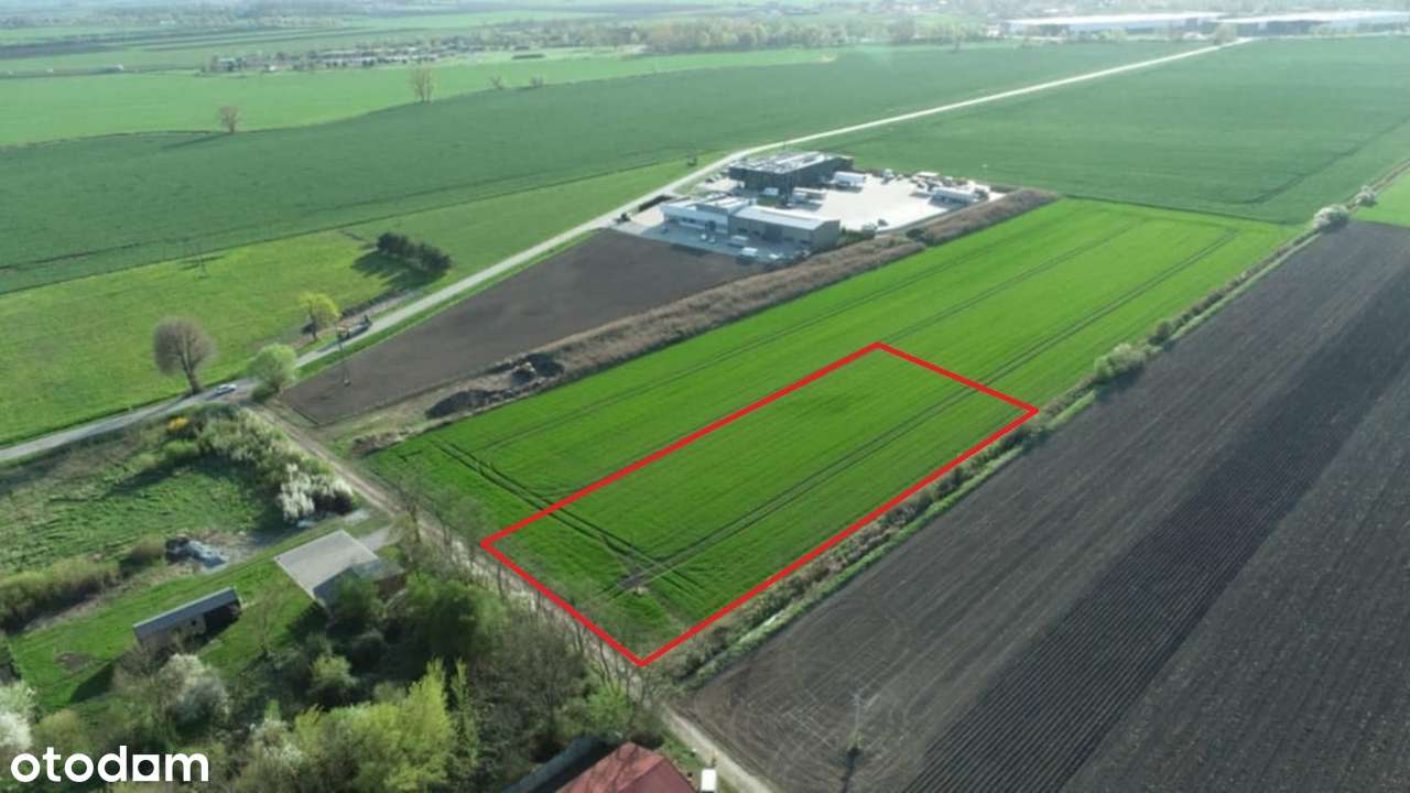 Działka 6000 m2 Milejowice / Krajków / Żórawina obok A4 Usługowa (U) - Pełny obrazek: 5/12