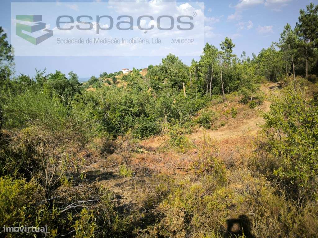 Terreno com mina de água - Cabeço do Infante - Grande imagem: 2/17