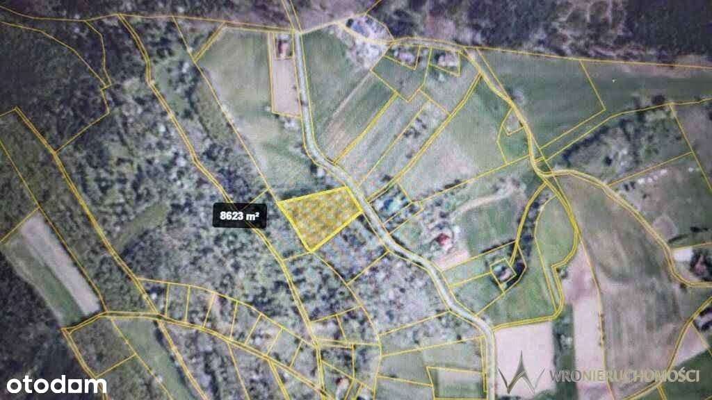 Działka | atrakcyjna | las | piękne widoki - Pełny obrazek: 5/12