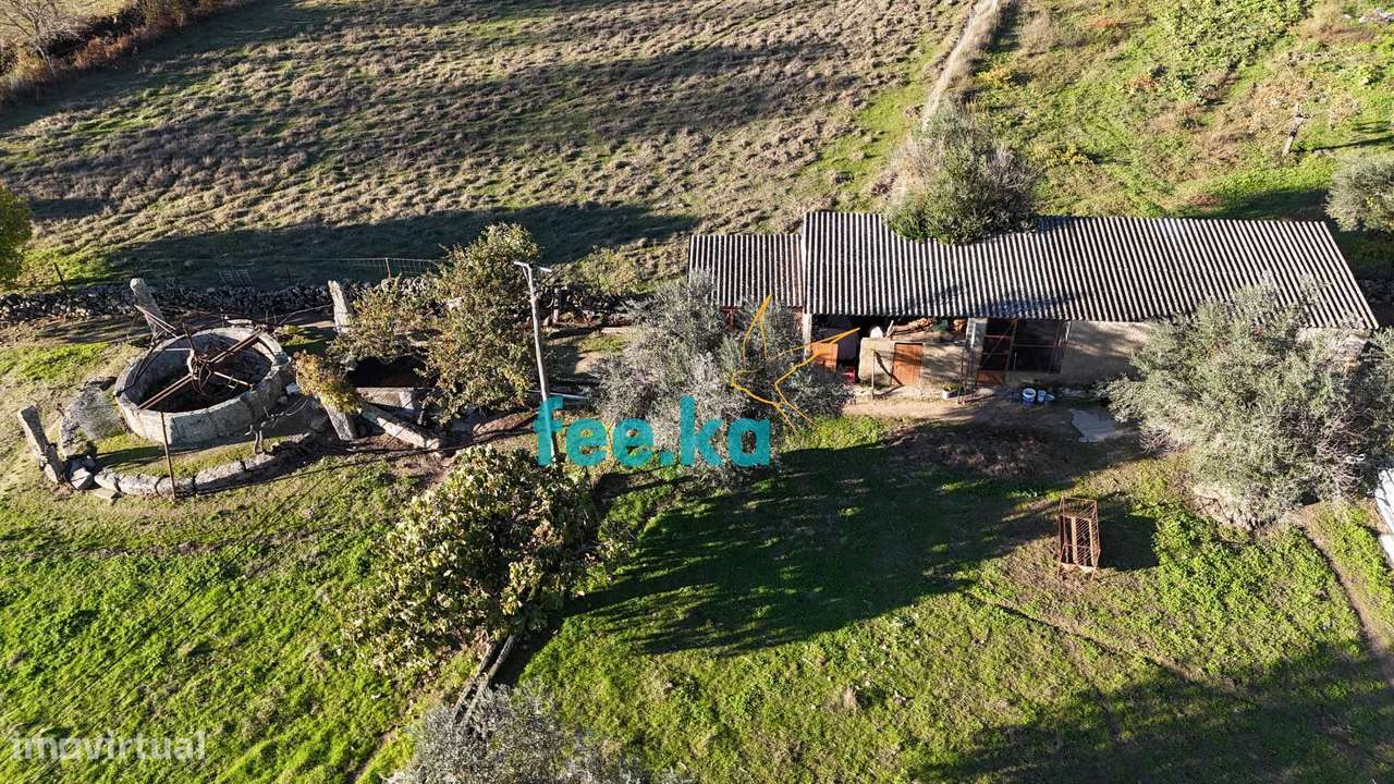 Quinta em Escalos de Baixo-32