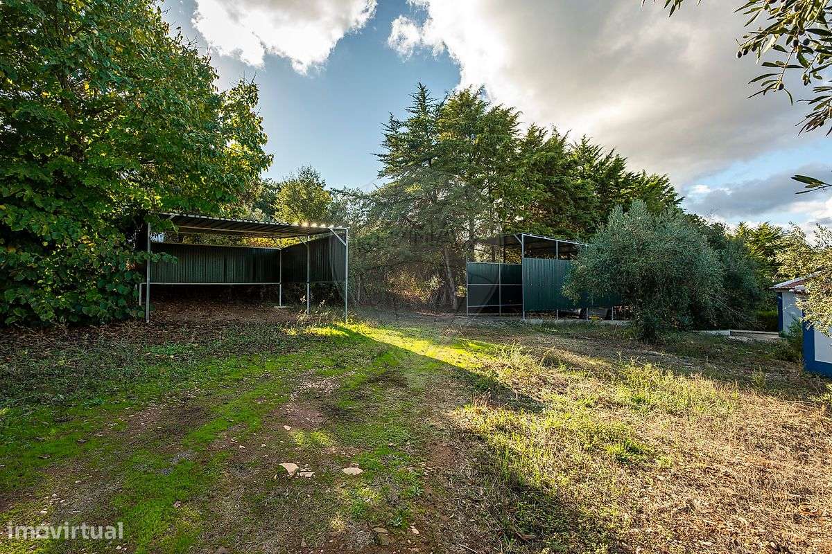 Quinta  para venda - Grande imagem: 4/41