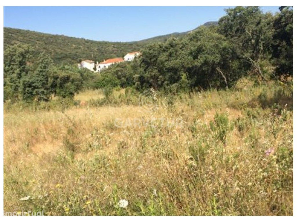 Lote de terreno rústico, Salir, Algarve