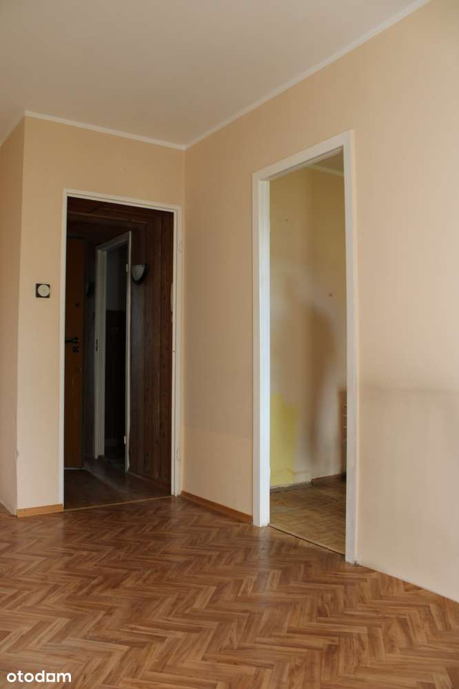 2-pokojowe mieszkanie  +  balkon  +  piwnica-3