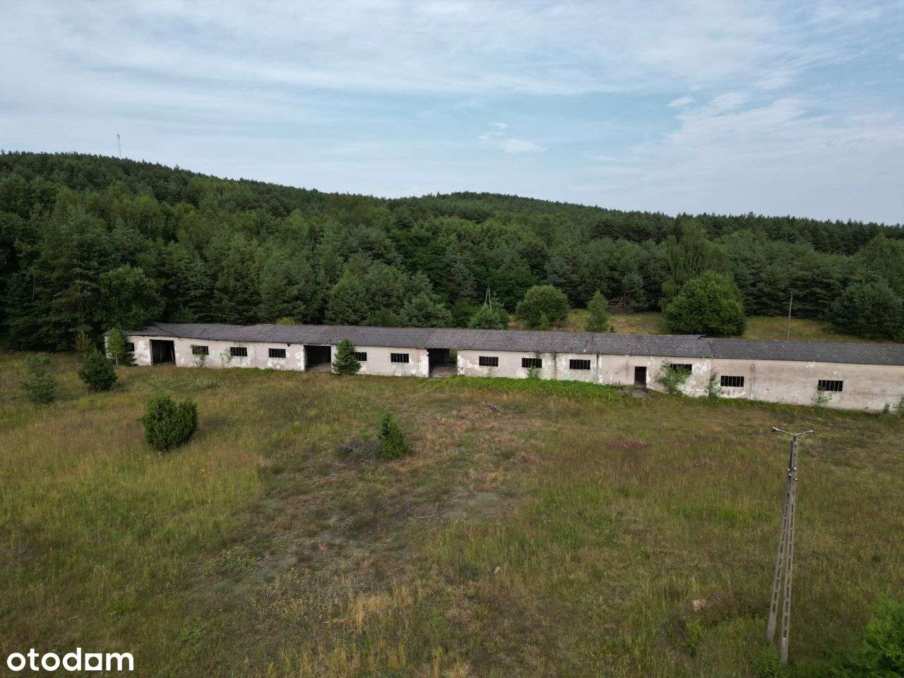 Zabudowane działki z własną stacją TRAFO - 24,46ha - Pełny obrazek: 3/3