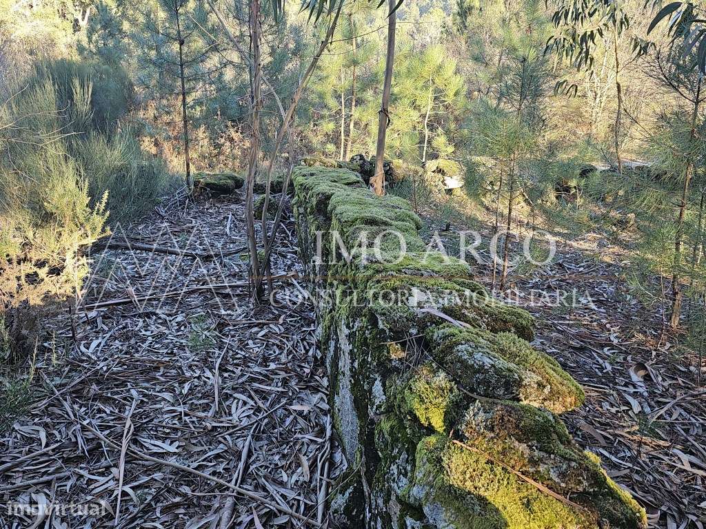 Terreno Rústico com 45.900 m² - Pedraça, Cabeceiras de Basto-15